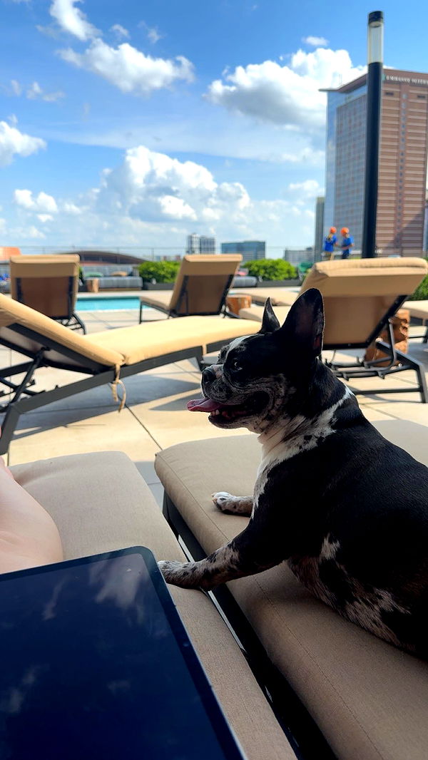 realhaylujan image ~ Altpins