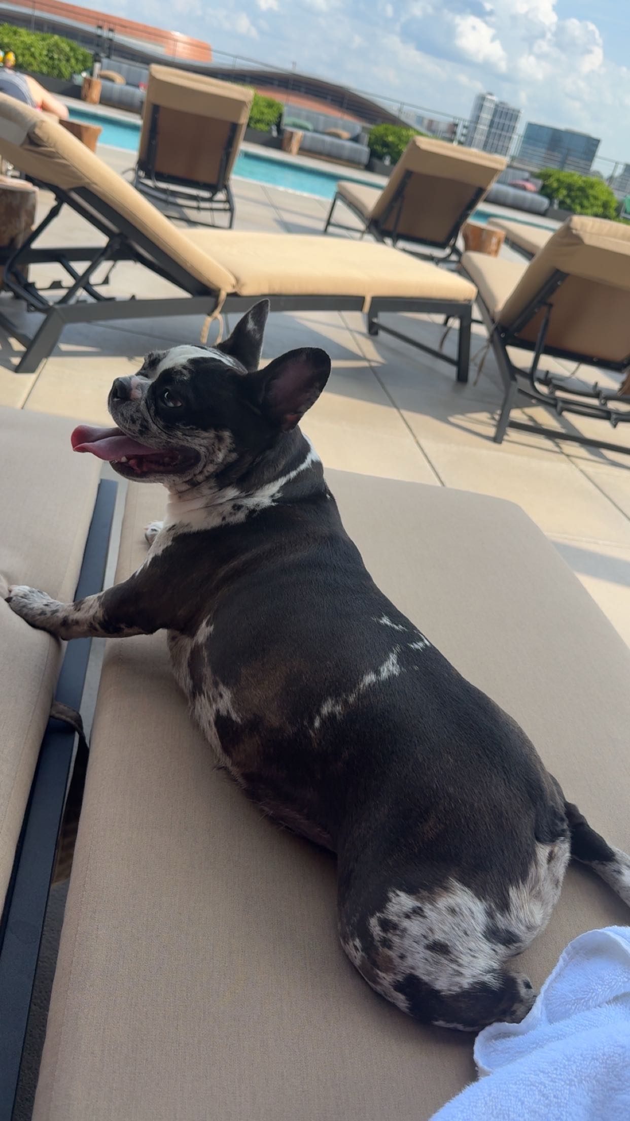 realhaylujan snapchat image archive image