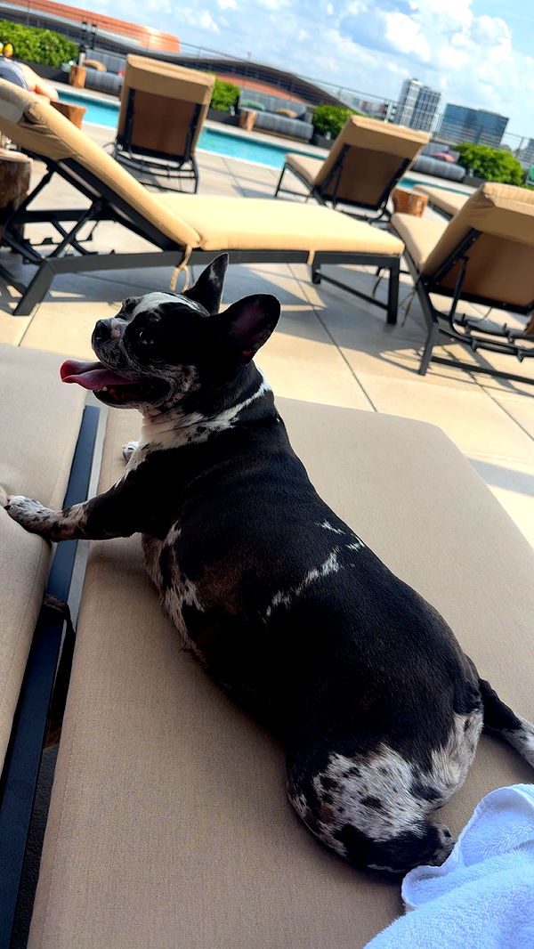 realhaylujan image ~ Altpins