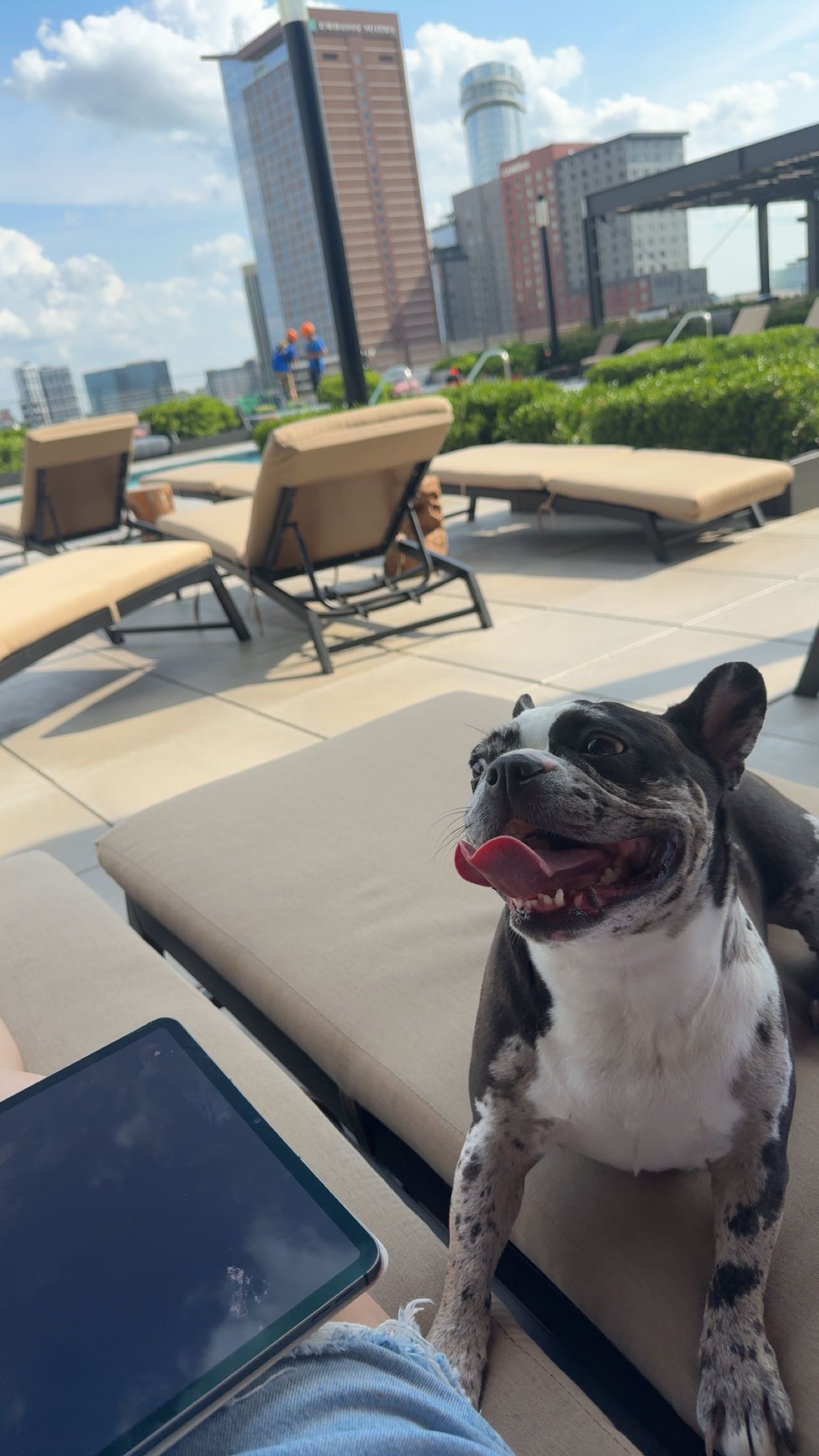 realhaylujan snapchat image archive image