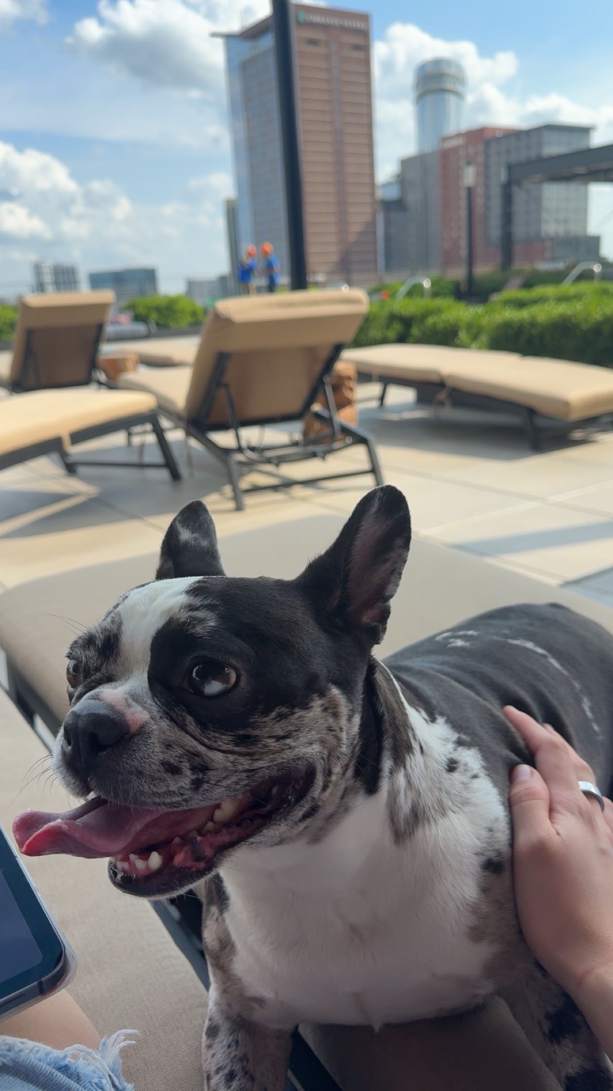 realhaylujan snapchat image archive image