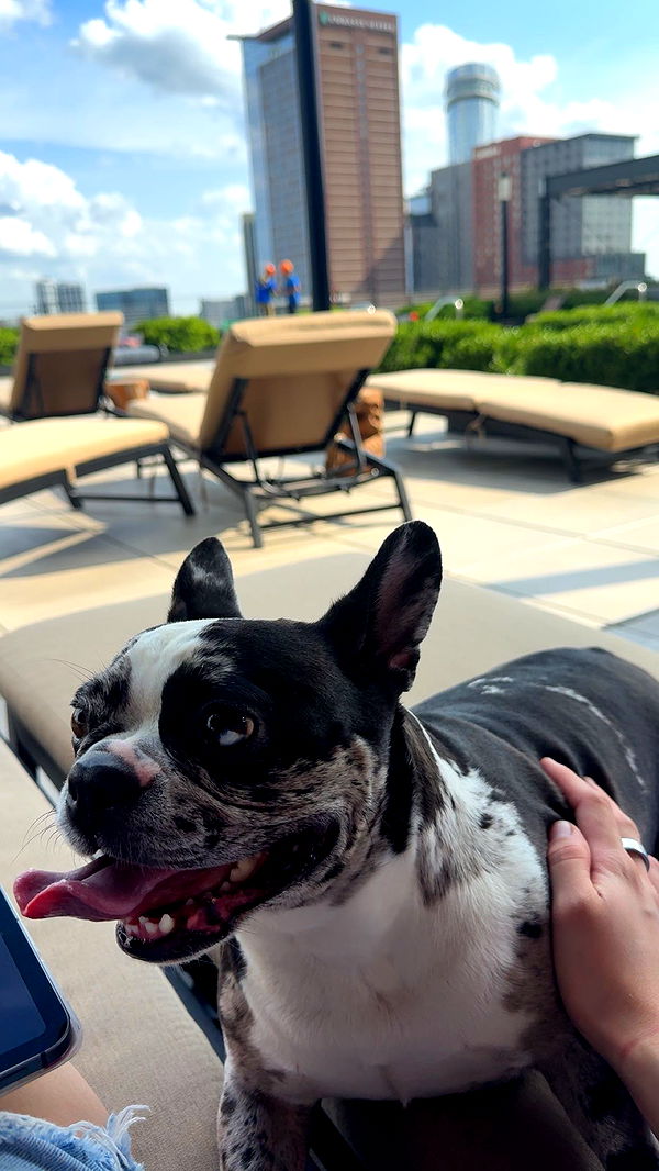 realhaylujan image ~ Altpins