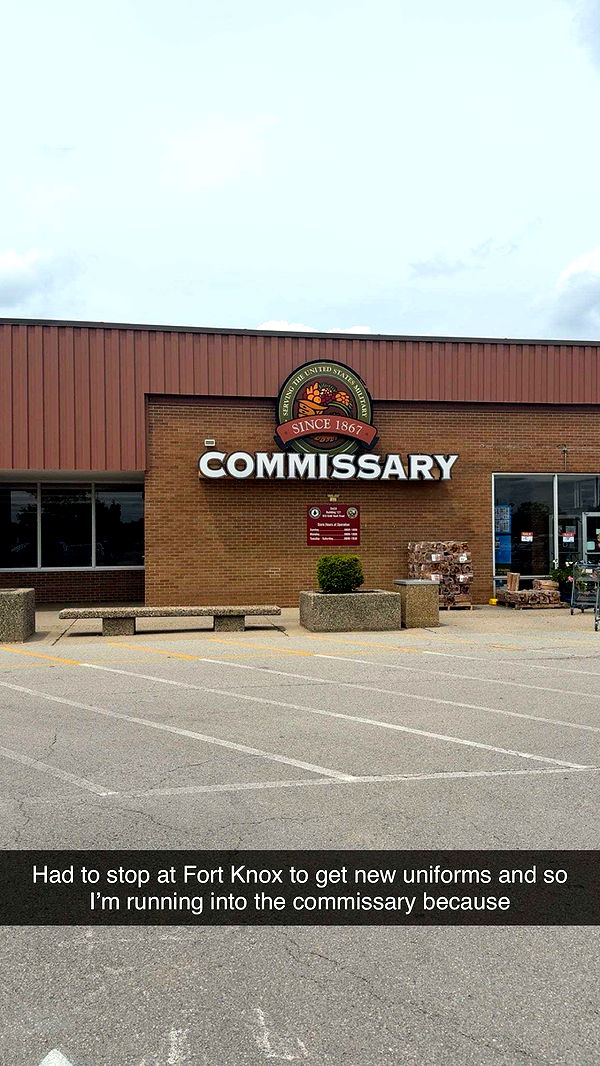 realhaylujan image ~ Altpins