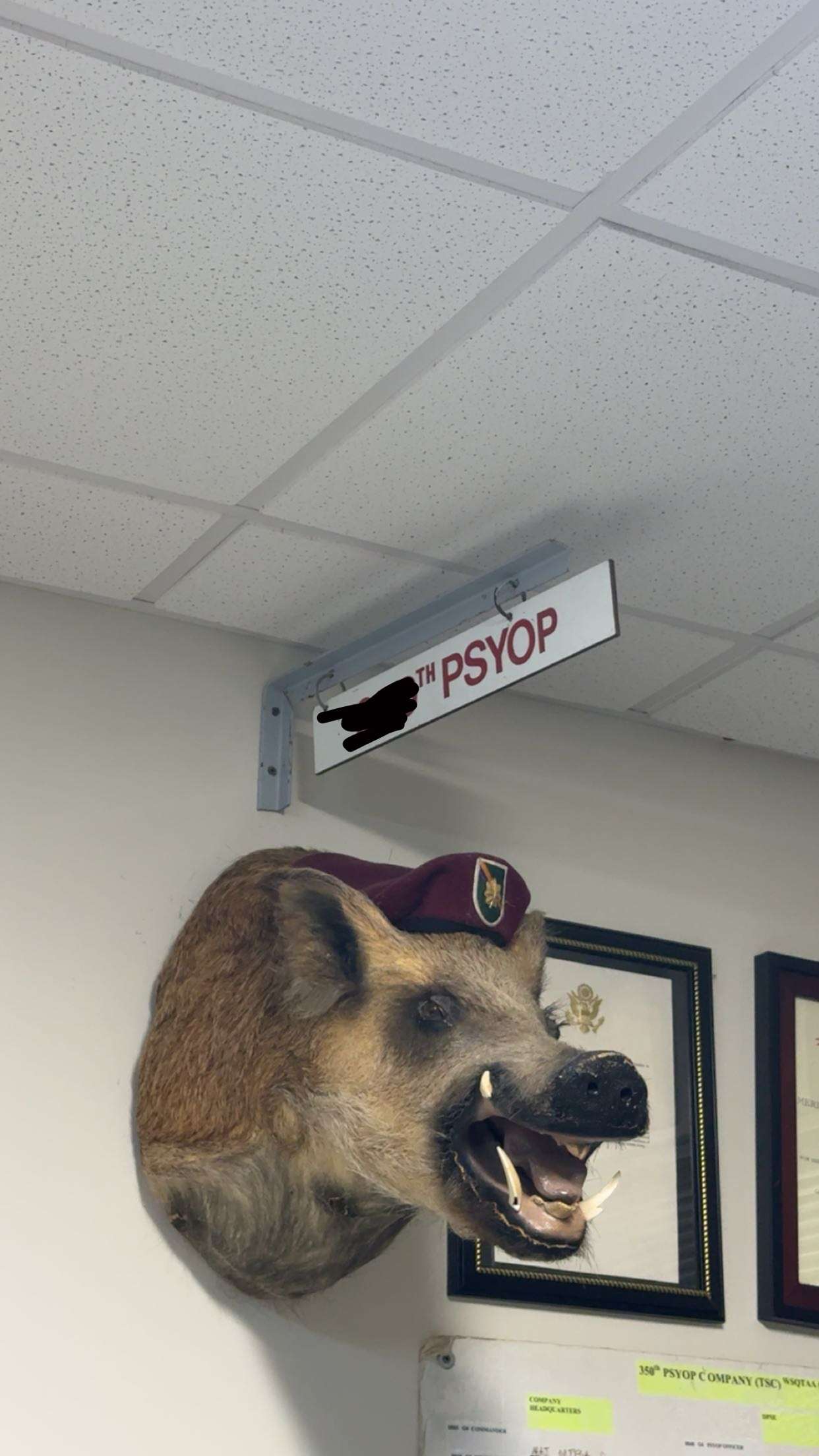 realhaylujan snapchat image archive image