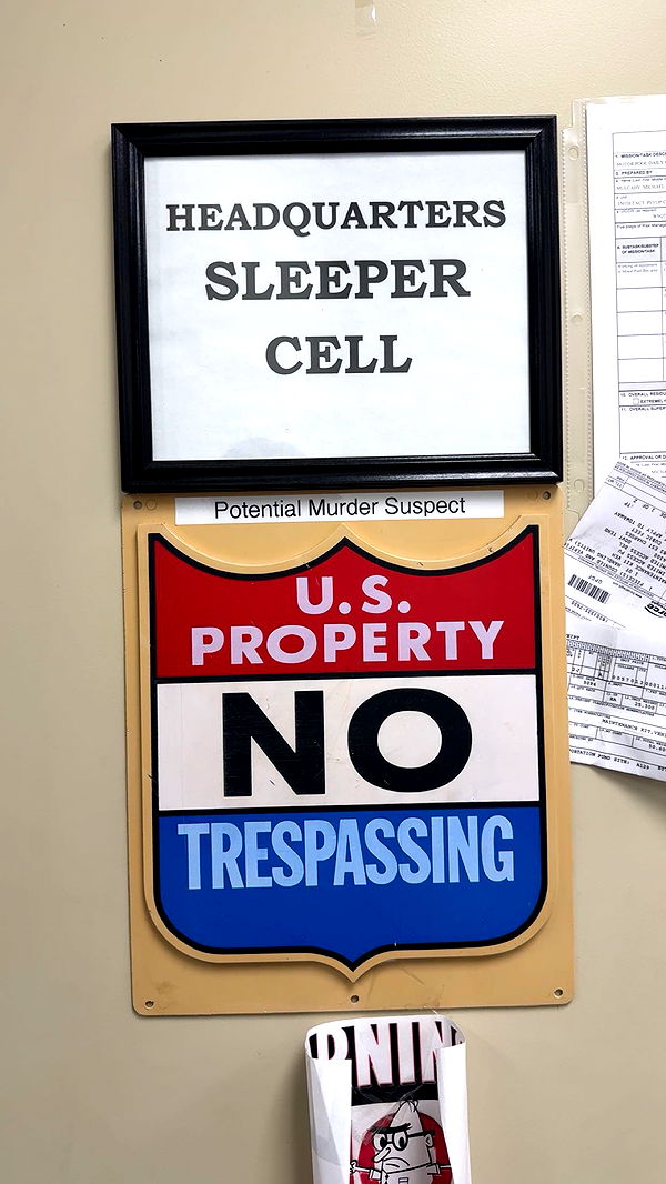 realhaylujan image ~ Altpins