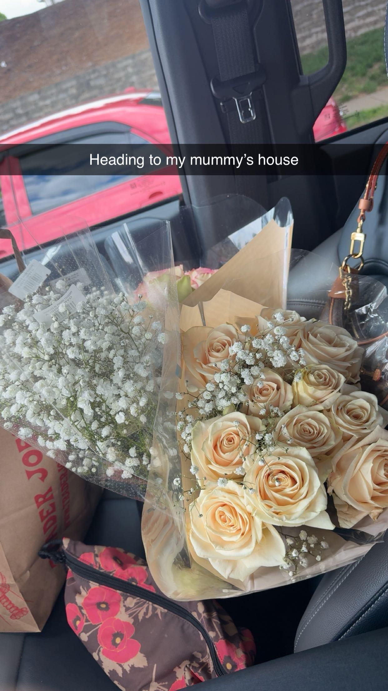 realhaylujan snapchat image archive image