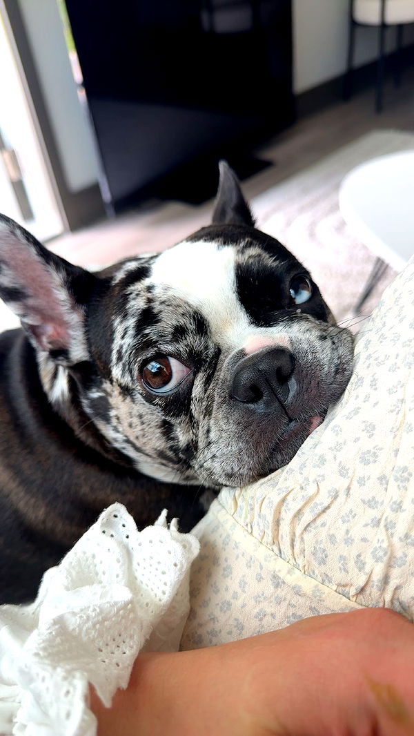 realhaylujan image ~ Altpins