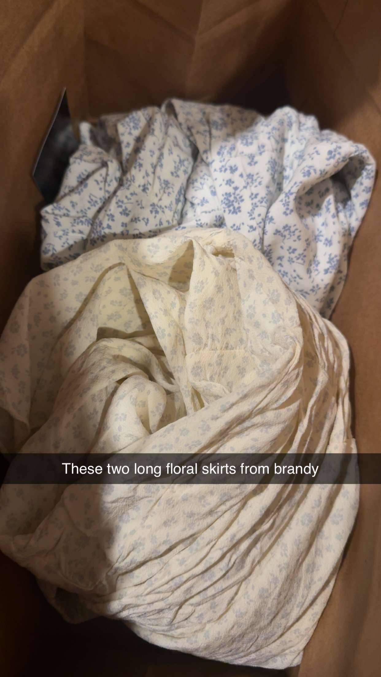 realhaylujan snapchat image archive image