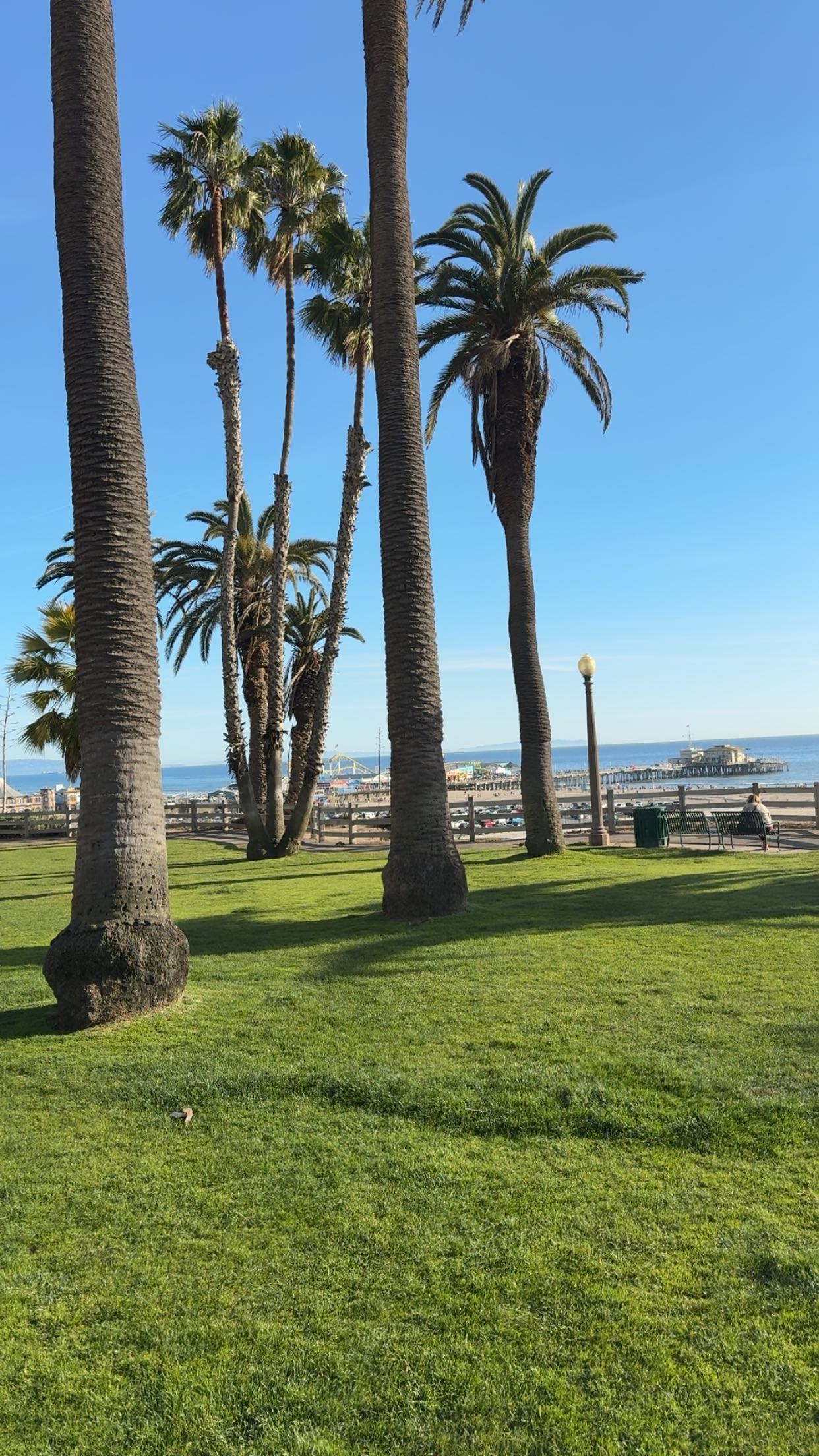 realhaylujan snapchat image archive image