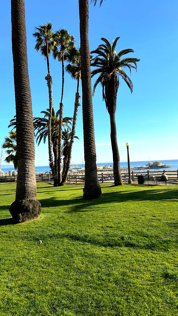 realhaylujan image ~ Altpins