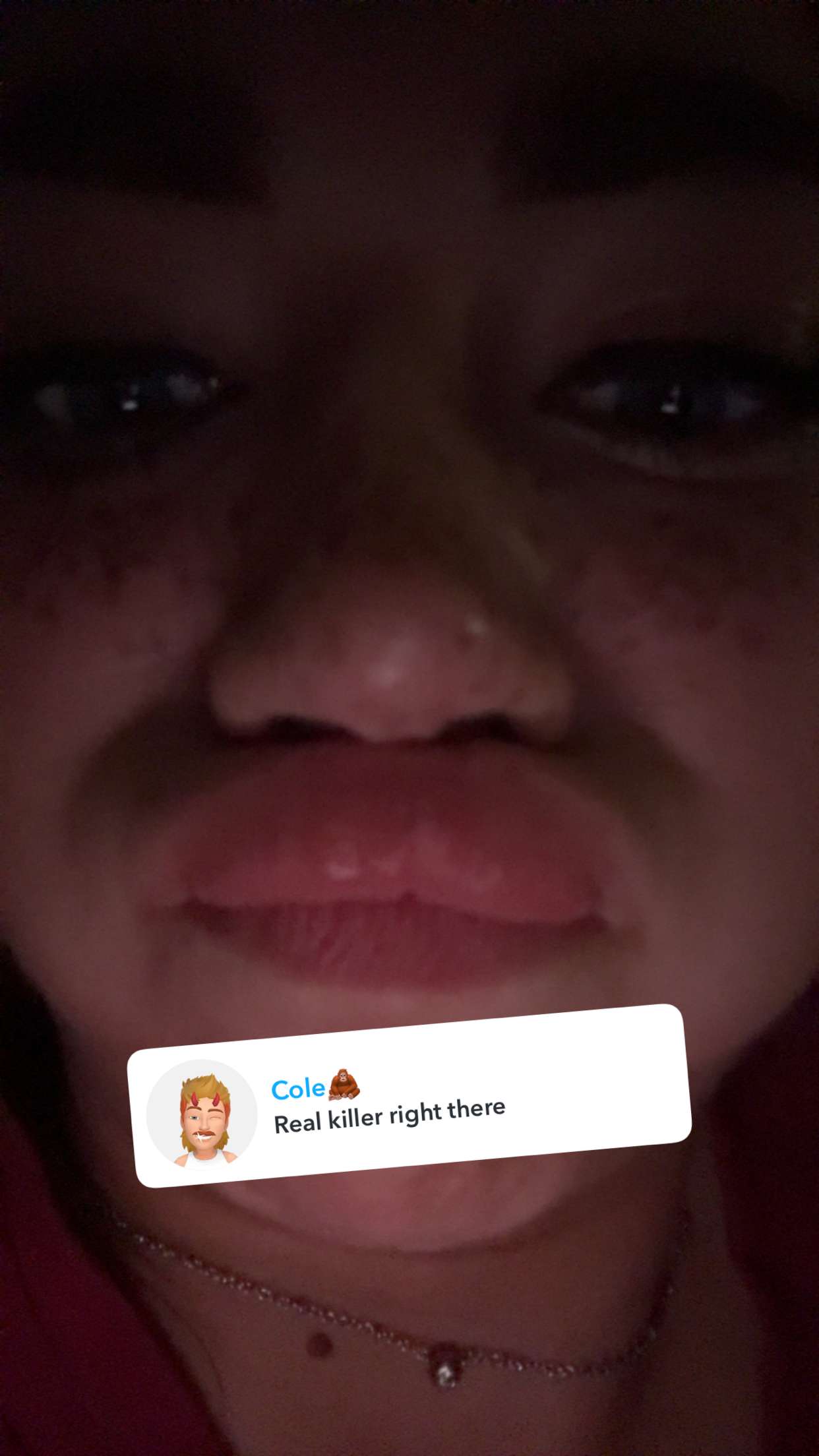 realhaylujan snapchat image archive image