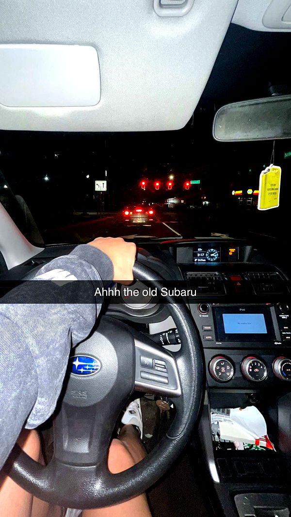 realhaylujan image ~ Altpins