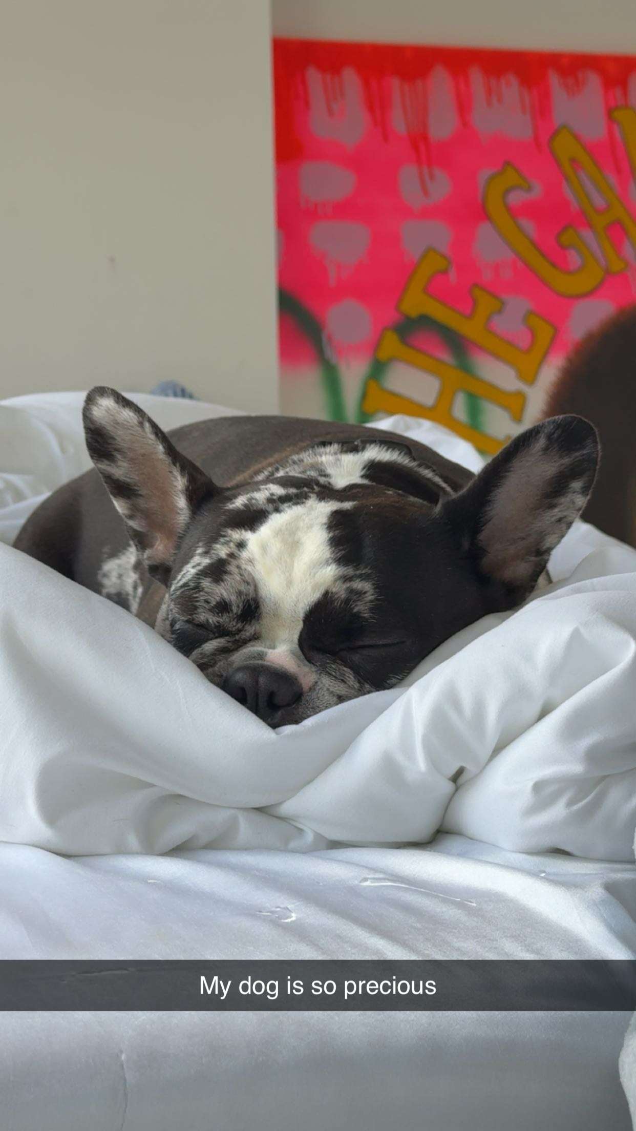 realhaylujan snapchat image archive image