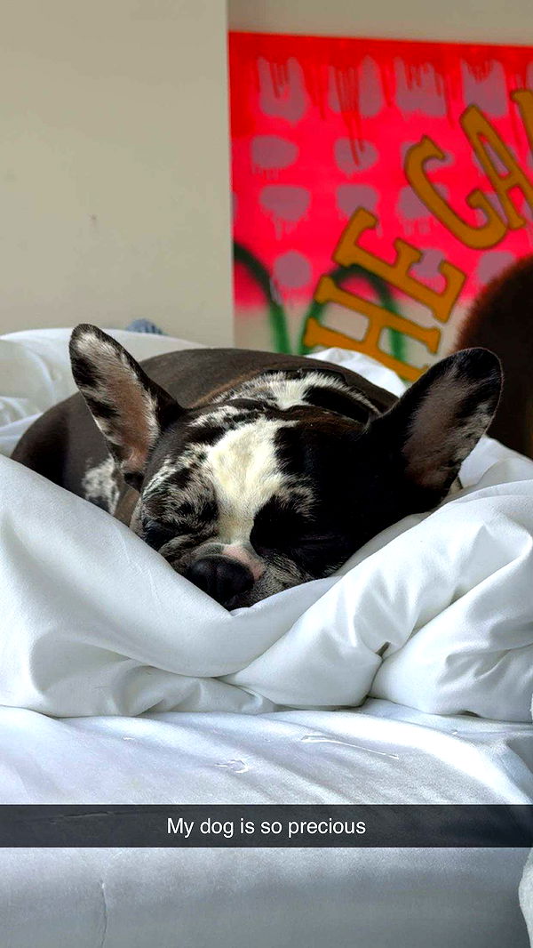 realhaylujan image ~ Altpins