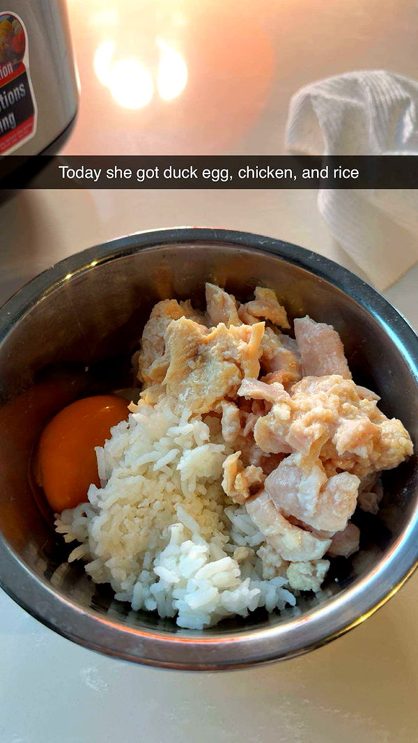 realhaylujan image ~ Altpins