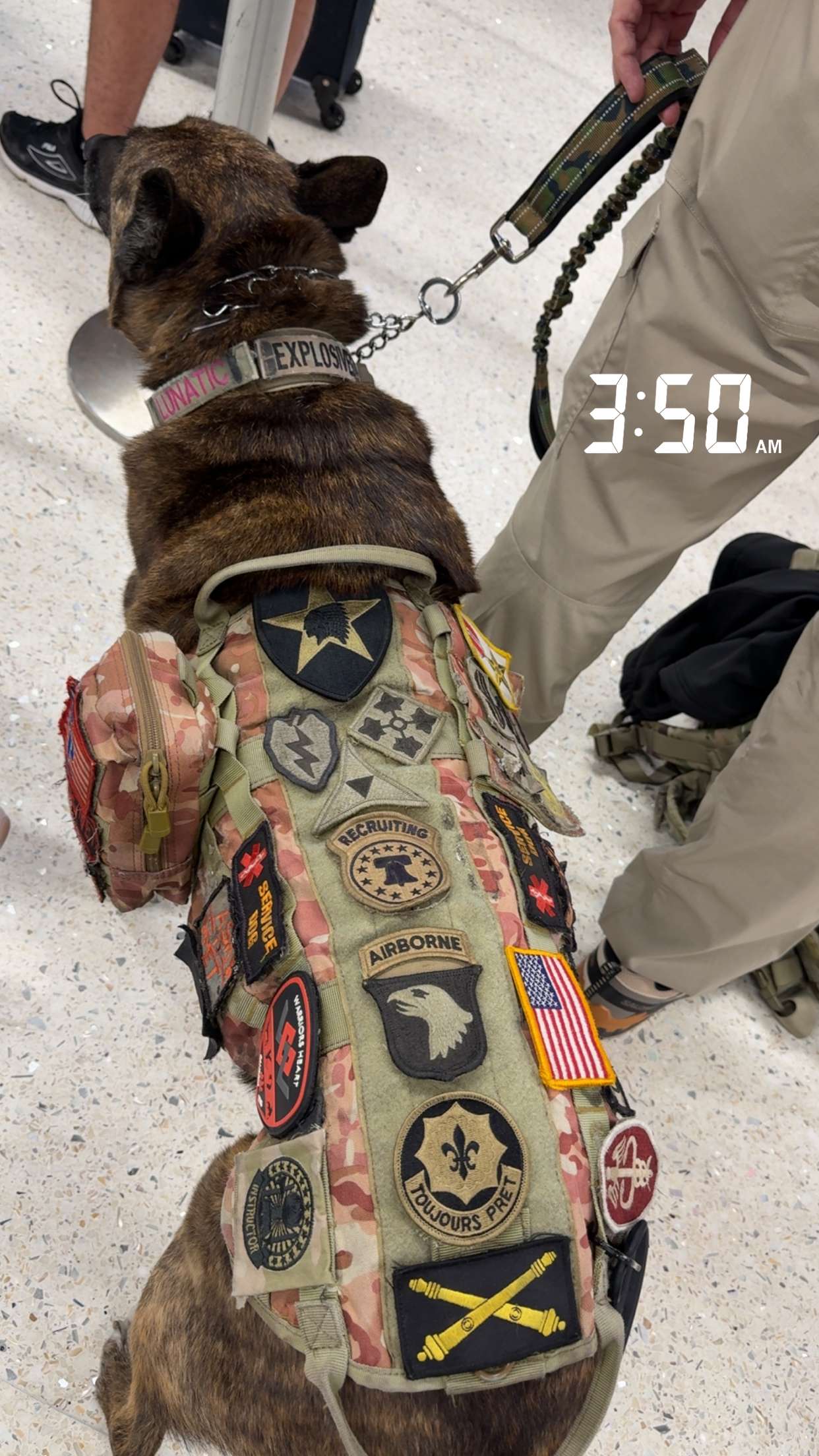 realhaylujan snapchat image archive image