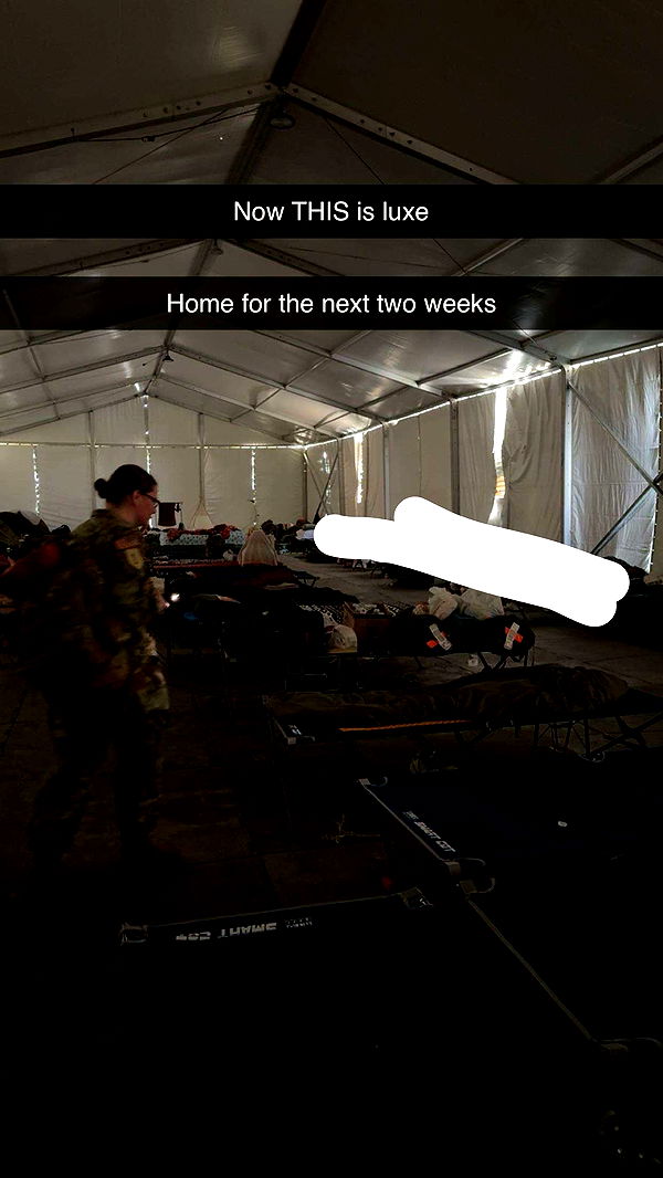 realhaylujan image ~ Altpins