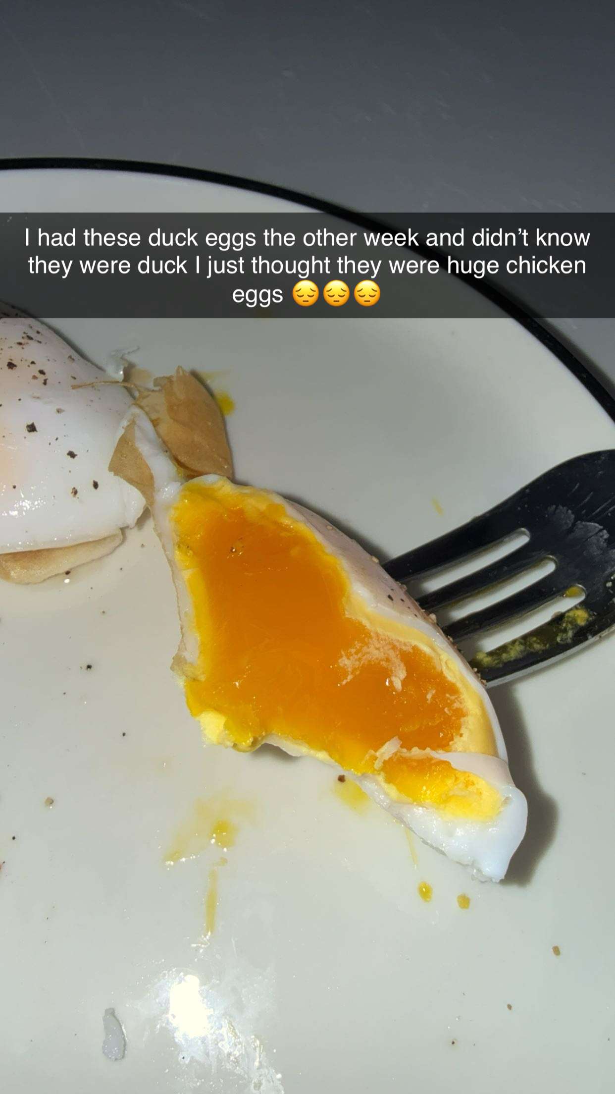 realhaylujan snapchat image archive image