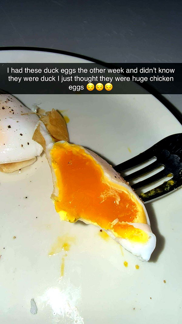 realhaylujan image ~ Altpins