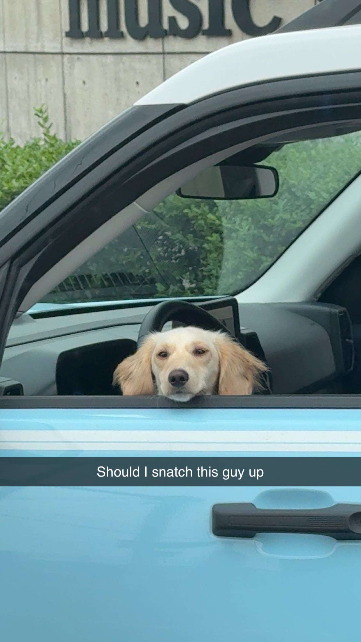 realhaylujan snapchat image archive image