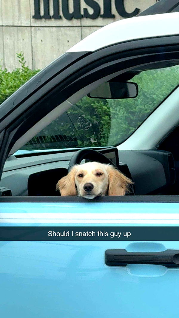 realhaylujan image ~ Altpins