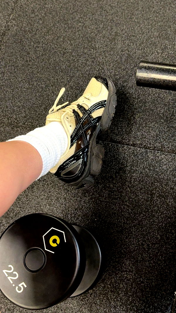 realhaylujan image ~ Altpins