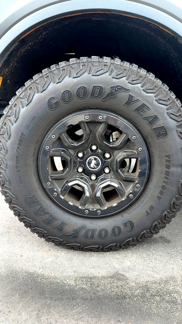 realhaylujan image ~ Altpins