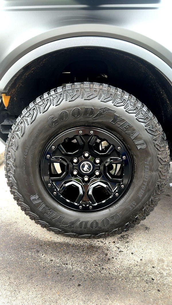 realhaylujan image ~ Altpins