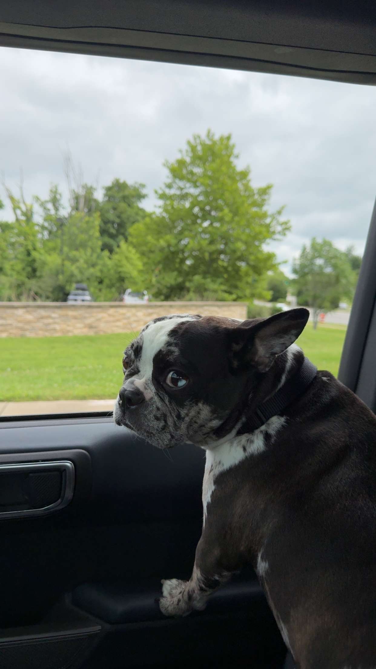 realhaylujan snapchat image archive image