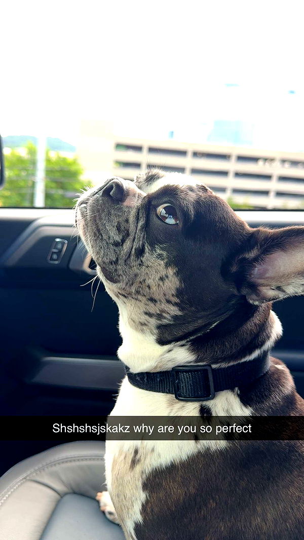 realhaylujan image ~ Altpins