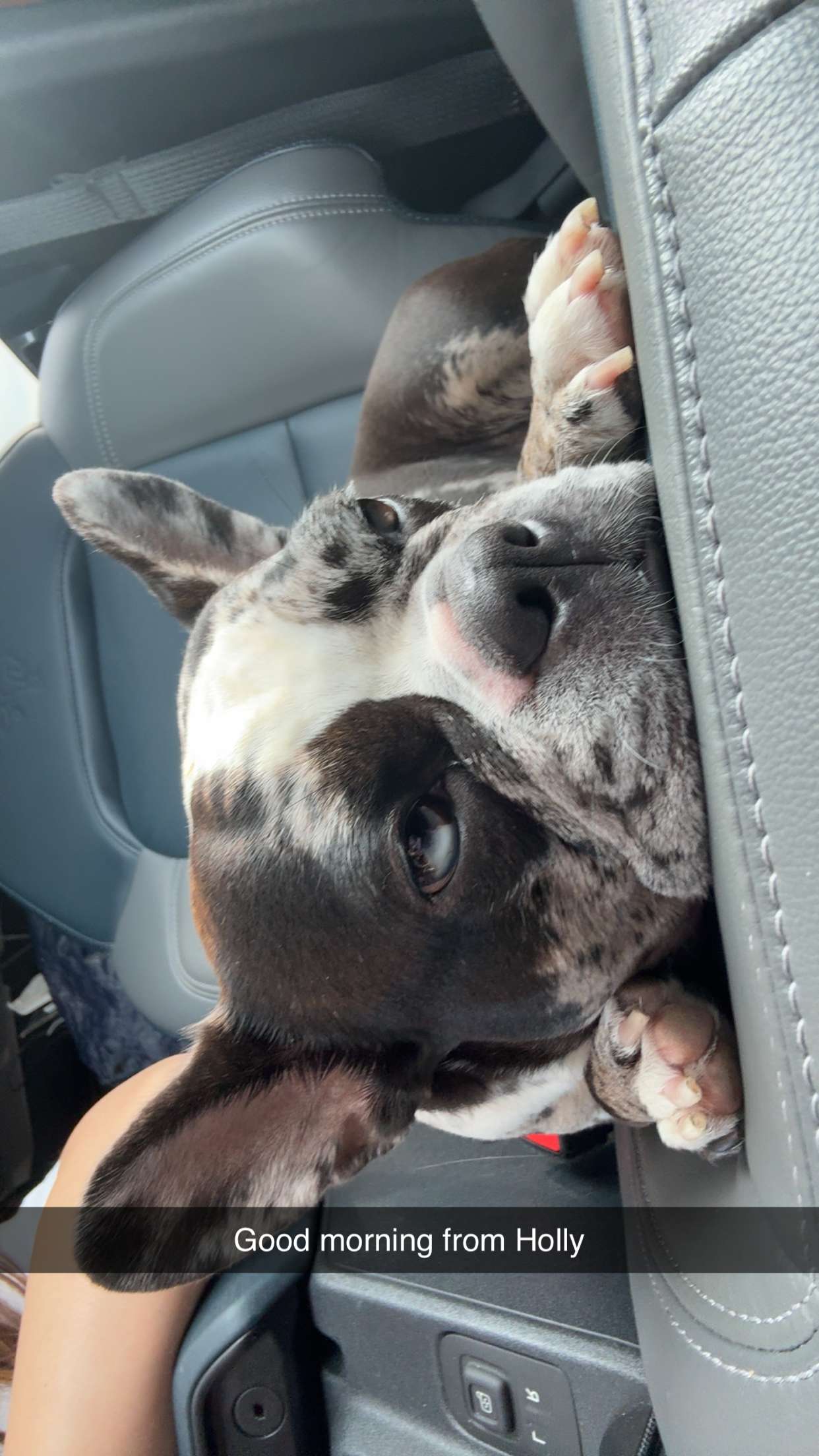 realhaylujan snapchat image archive image