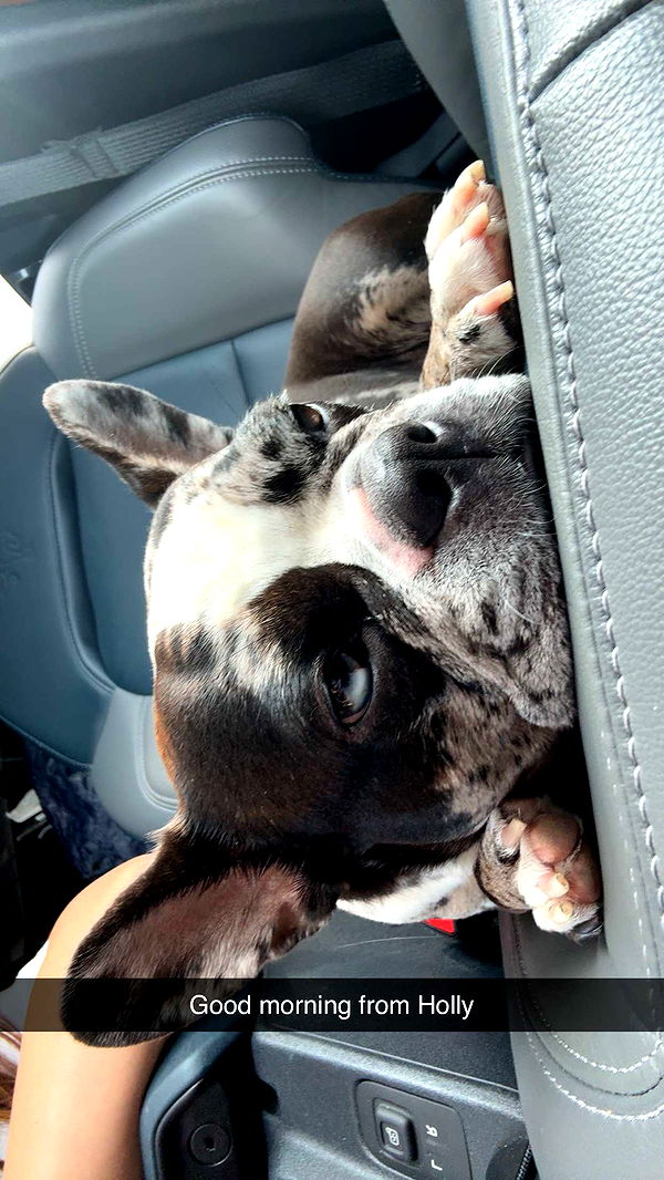 realhaylujan image ~ Altpins