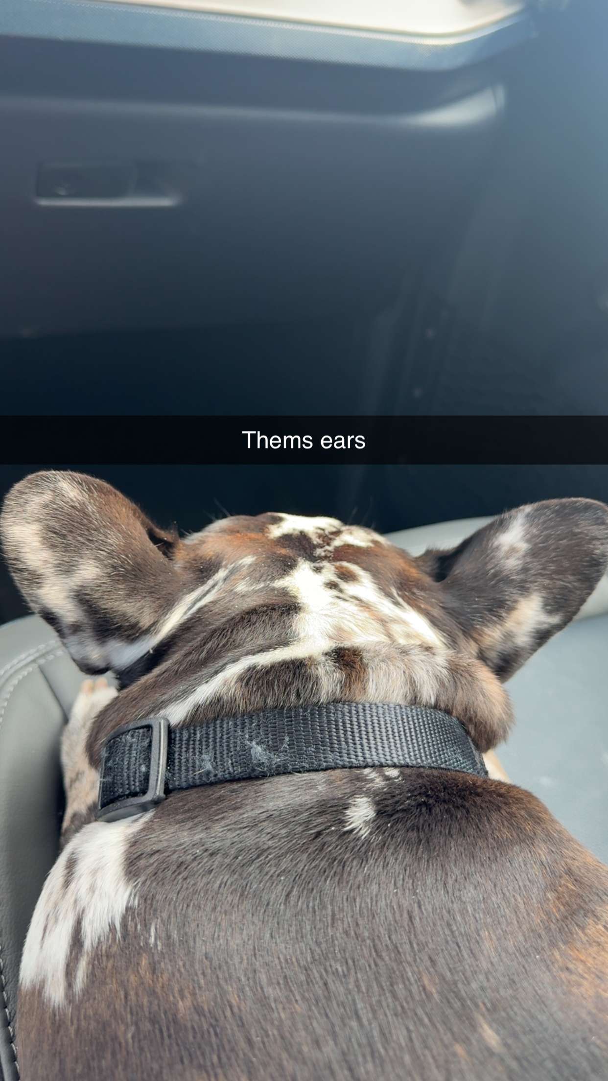 realhaylujan snapchat image archive image