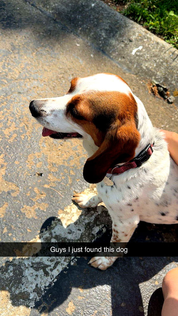 realhaylujan image ~ Altpins