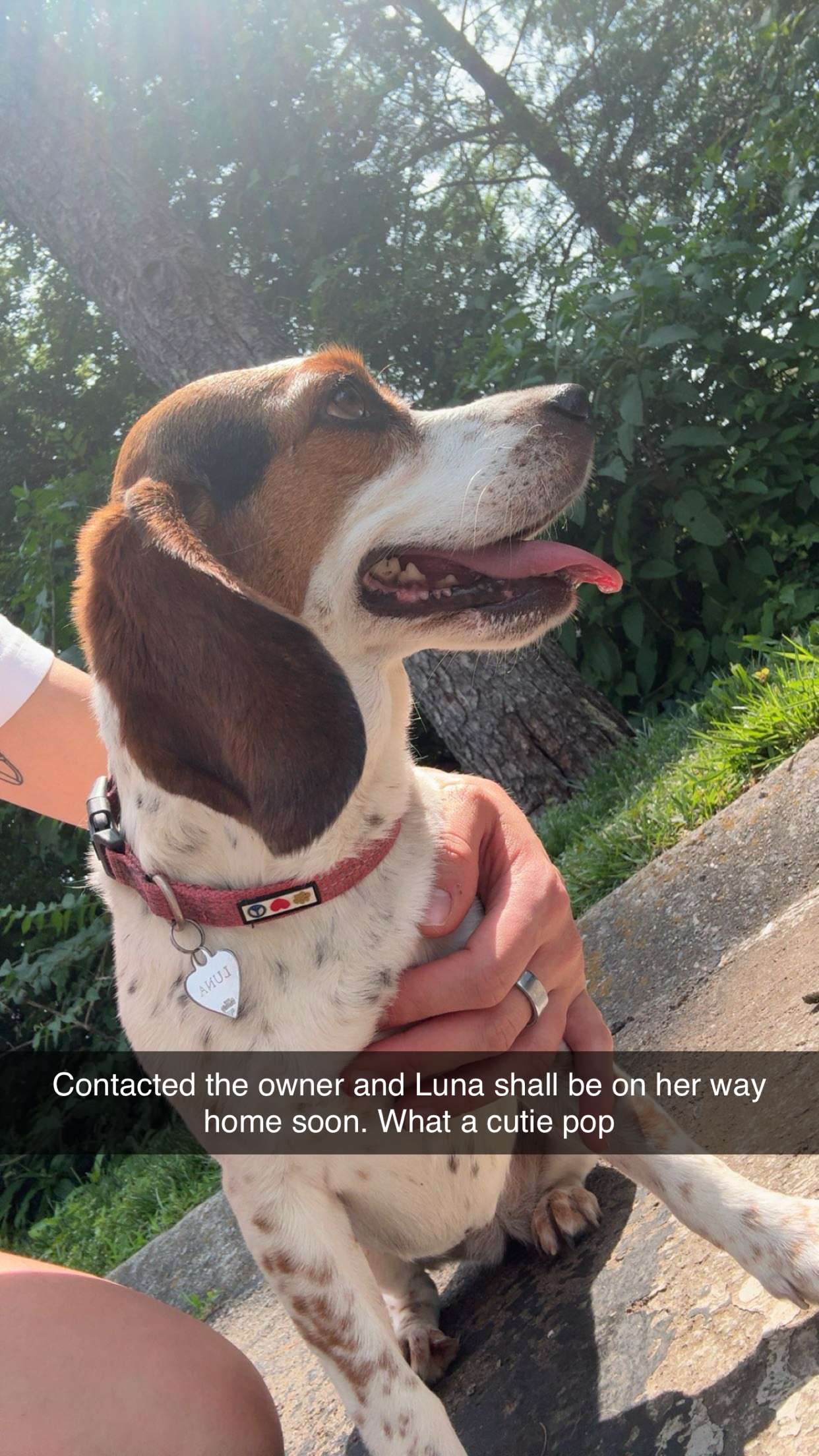 realhaylujan snapchat image archive image