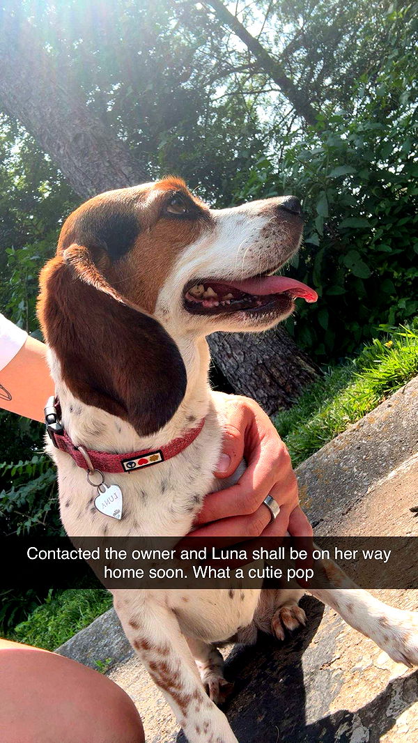 realhaylujan image ~ Altpins