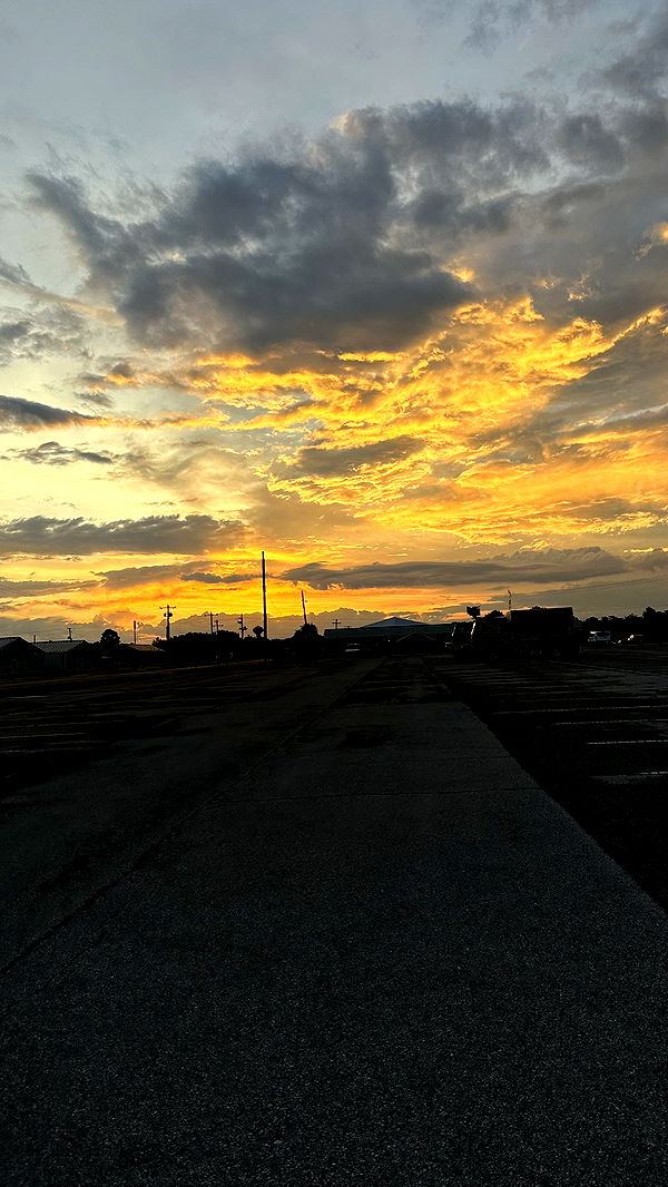 realhaylujan image ~ Altpins