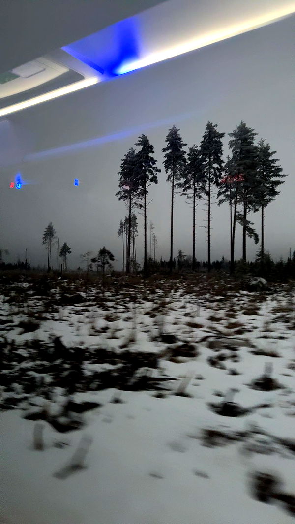 realhaylujan image ~ Altpins