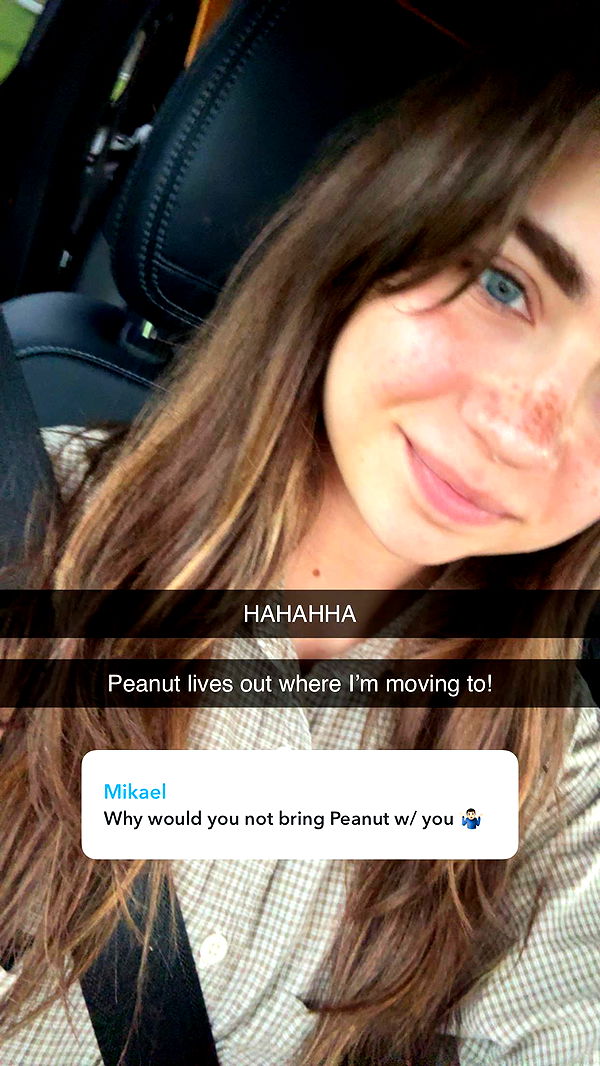 realhaylujan image ~ Altpins