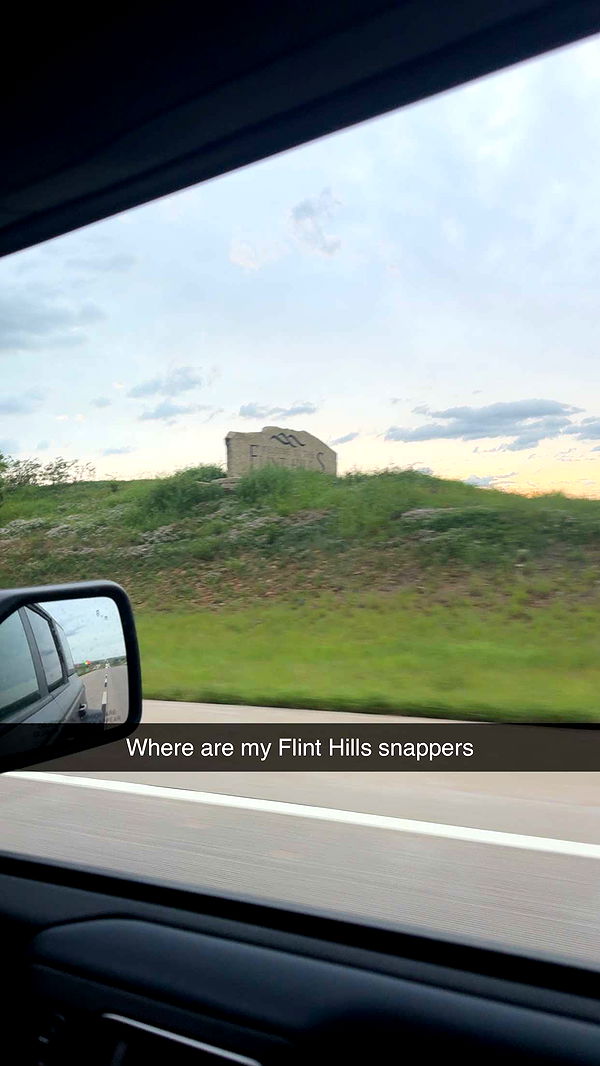 realhaylujan image ~ Altpins