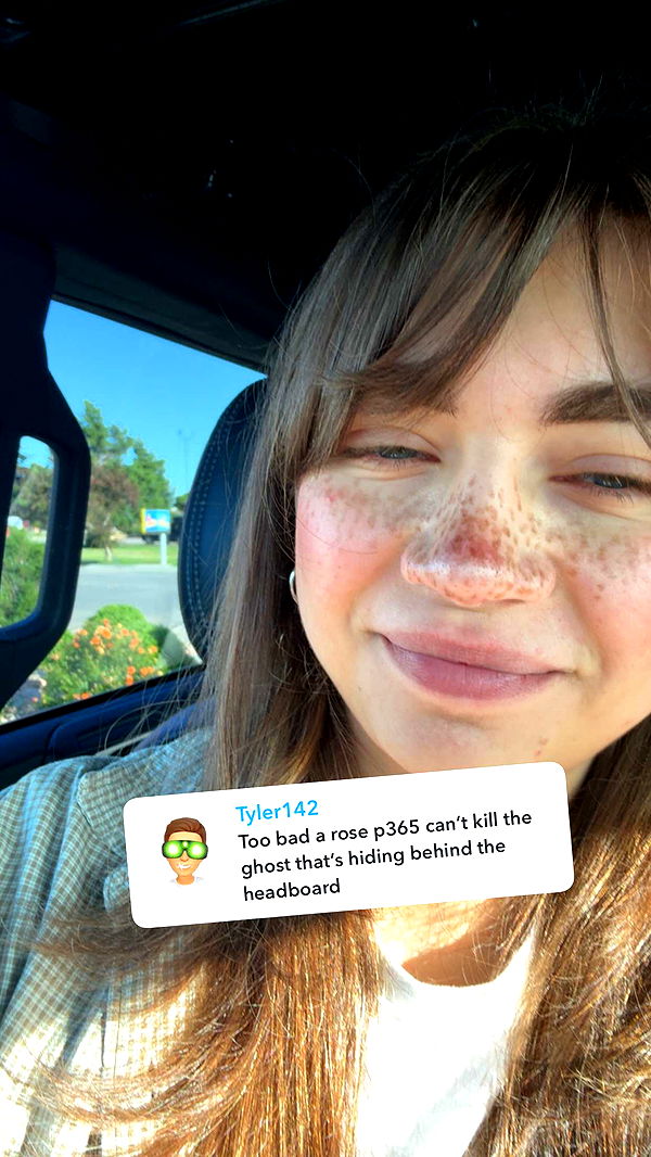 realhaylujan image ~ Altpins