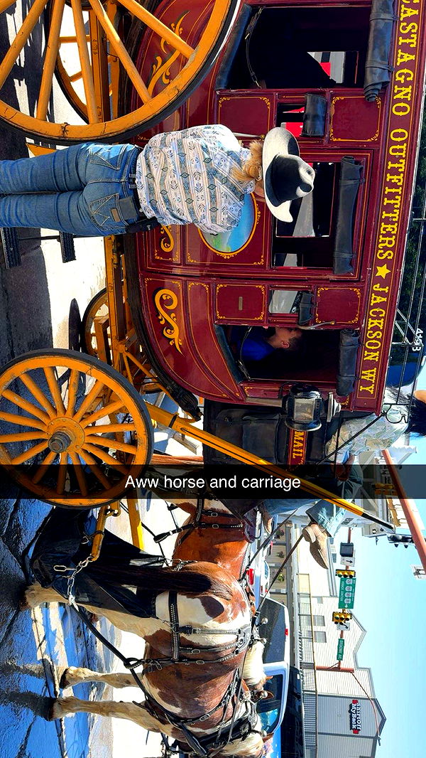 realhaylujan image ~ Altpins