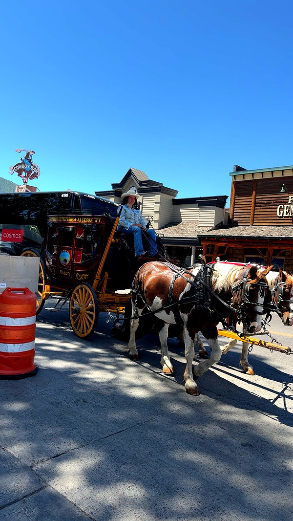 realhaylujan image ~ Altpins