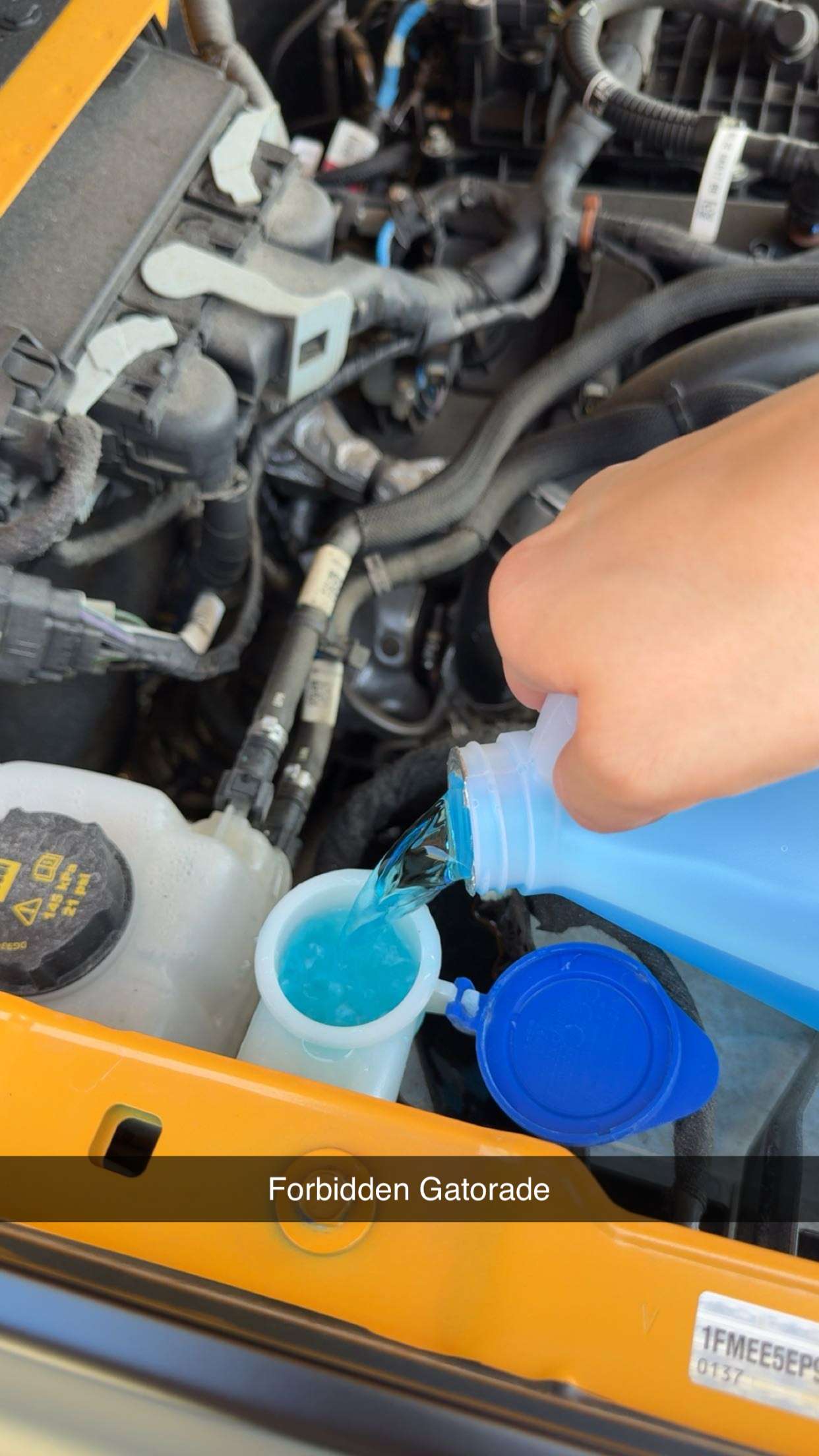 realhaylujan snapchat image archive image