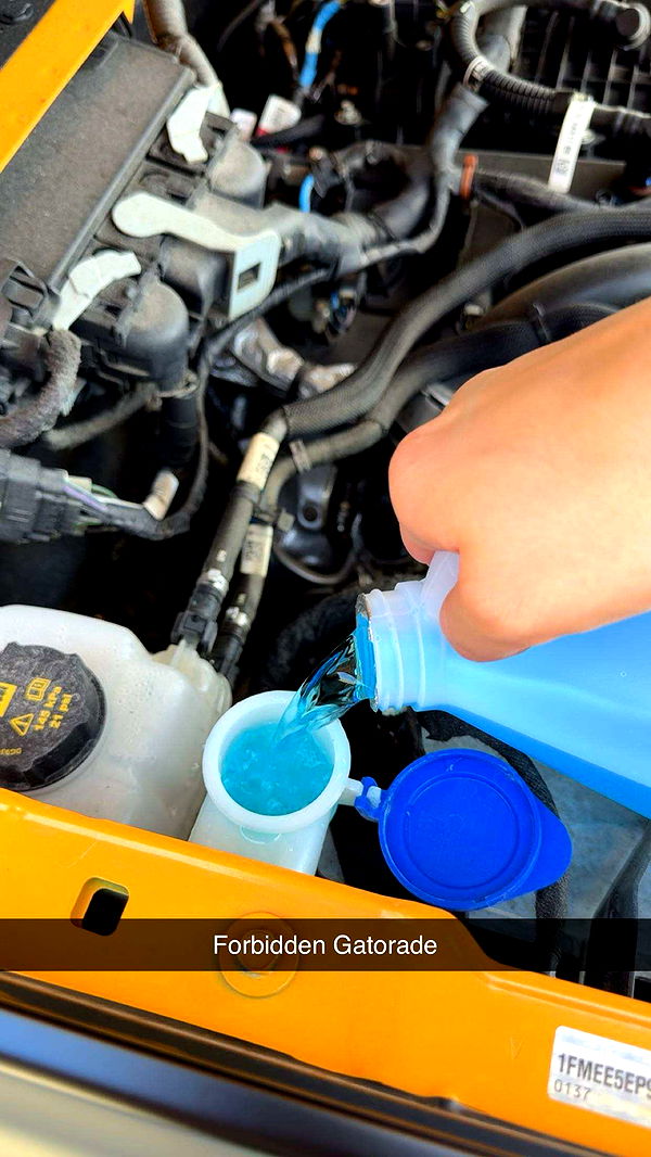 realhaylujan image ~ Altpins