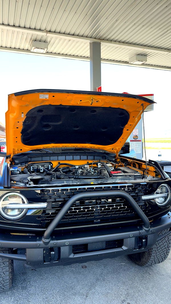 realhaylujan image ~ Altpins