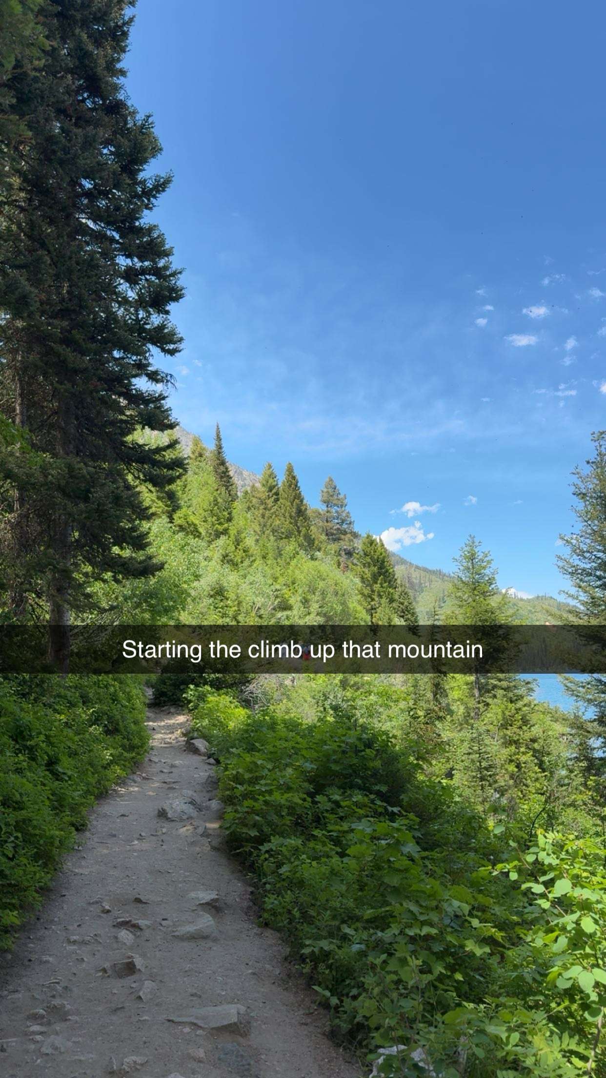 realhaylujan snapchat image archive image