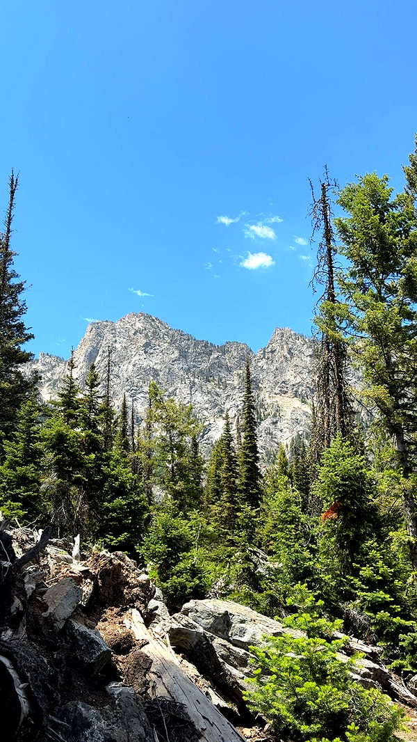 realhaylujan image ~ Altpins