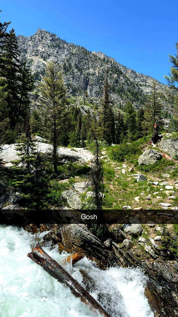 realhaylujan image ~ Altpins