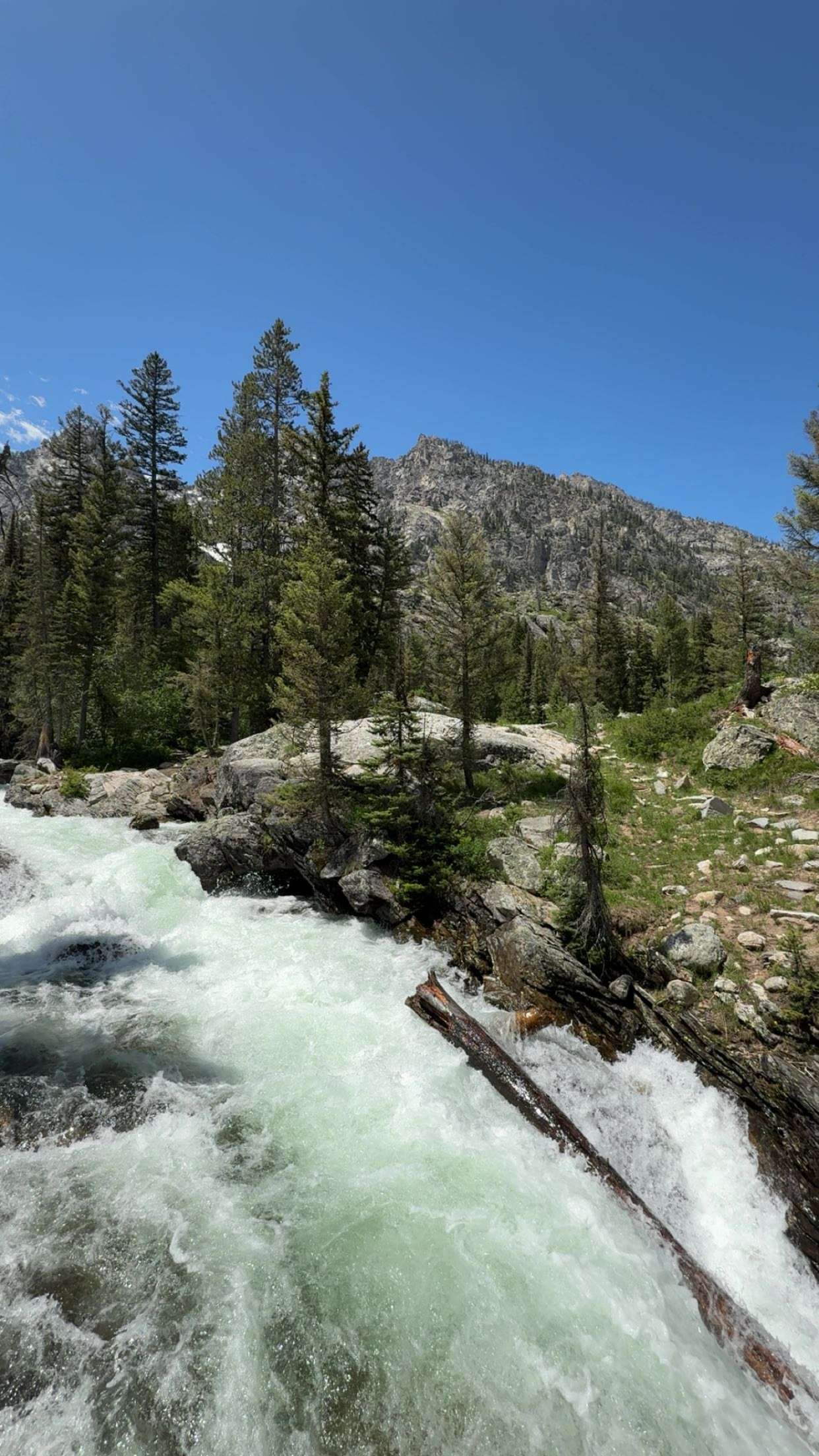 realhaylujan snapchat image archive image